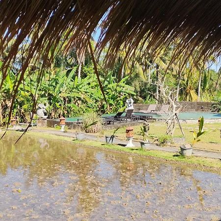 Ubud Rice Field House מראה חיצוני תמונה