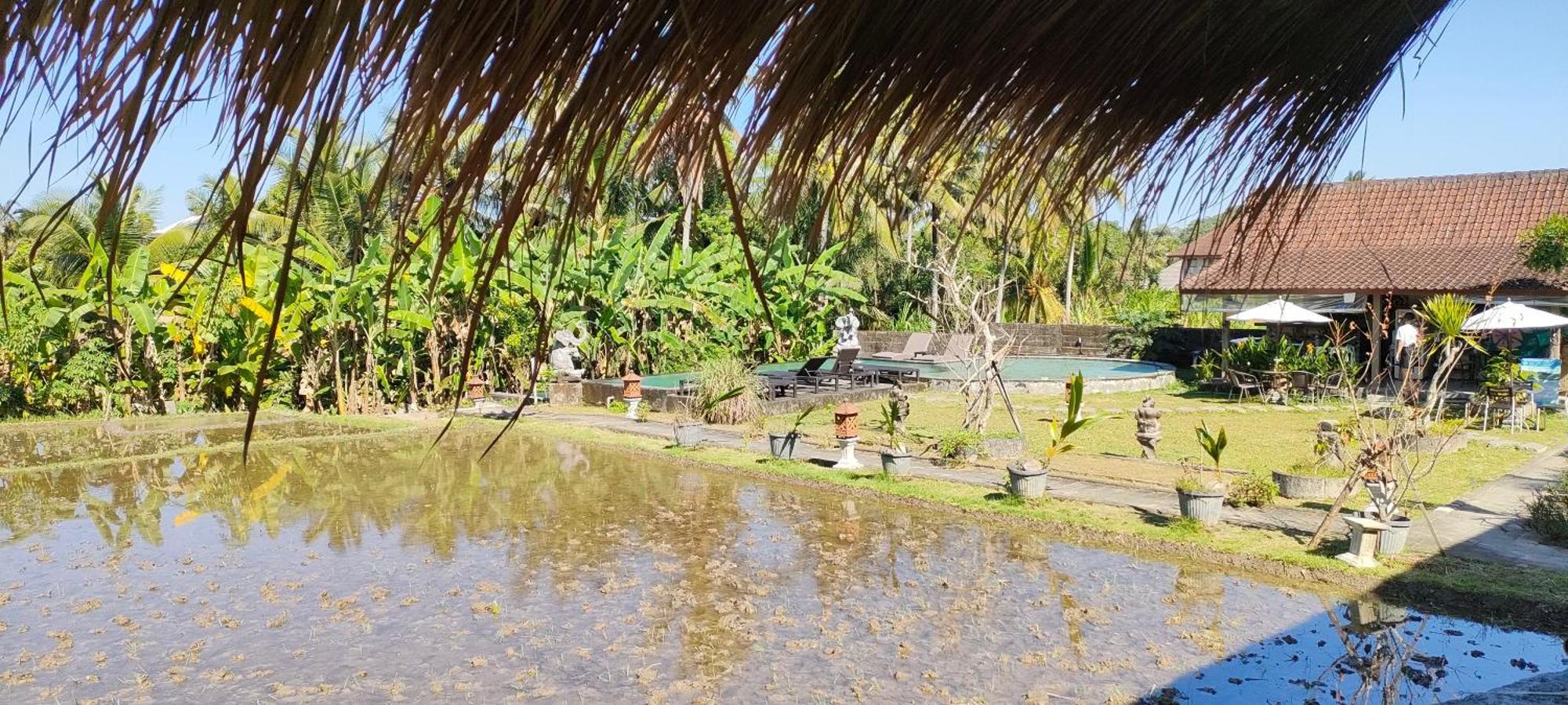 Ubud Rice Field House מראה חיצוני תמונה